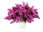 Сирень