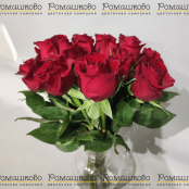 15 красных роз Кения (50см)