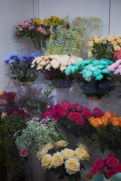 Фотографии салона Салон по адресу ул. Чернышевского, 75 #2