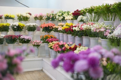 Фотографии салона Салон по адресу пр. Металлургов 2Б #0