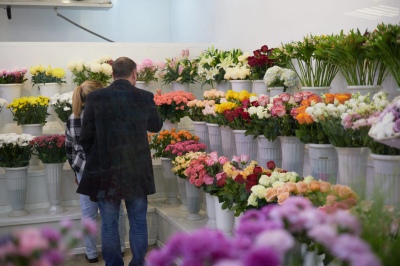 Фотографии салона Салон по адресу пр. Металлургов 2Б #4