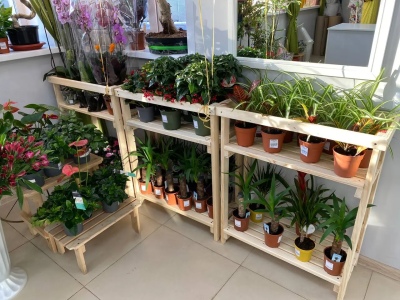 Фотографии салона Салон по адресу ул. Вильского, 22 #10