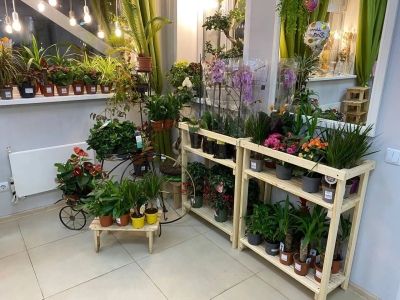 Фотографии салона Салон по адресу ул. Вильского, 22 #11