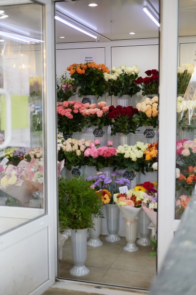 Фотографии салона Салон по адресу ул. Вильского, 22 #1