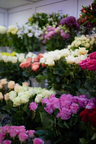 Фотографии салона Салон по адресу ул. Вильского, 22 #5