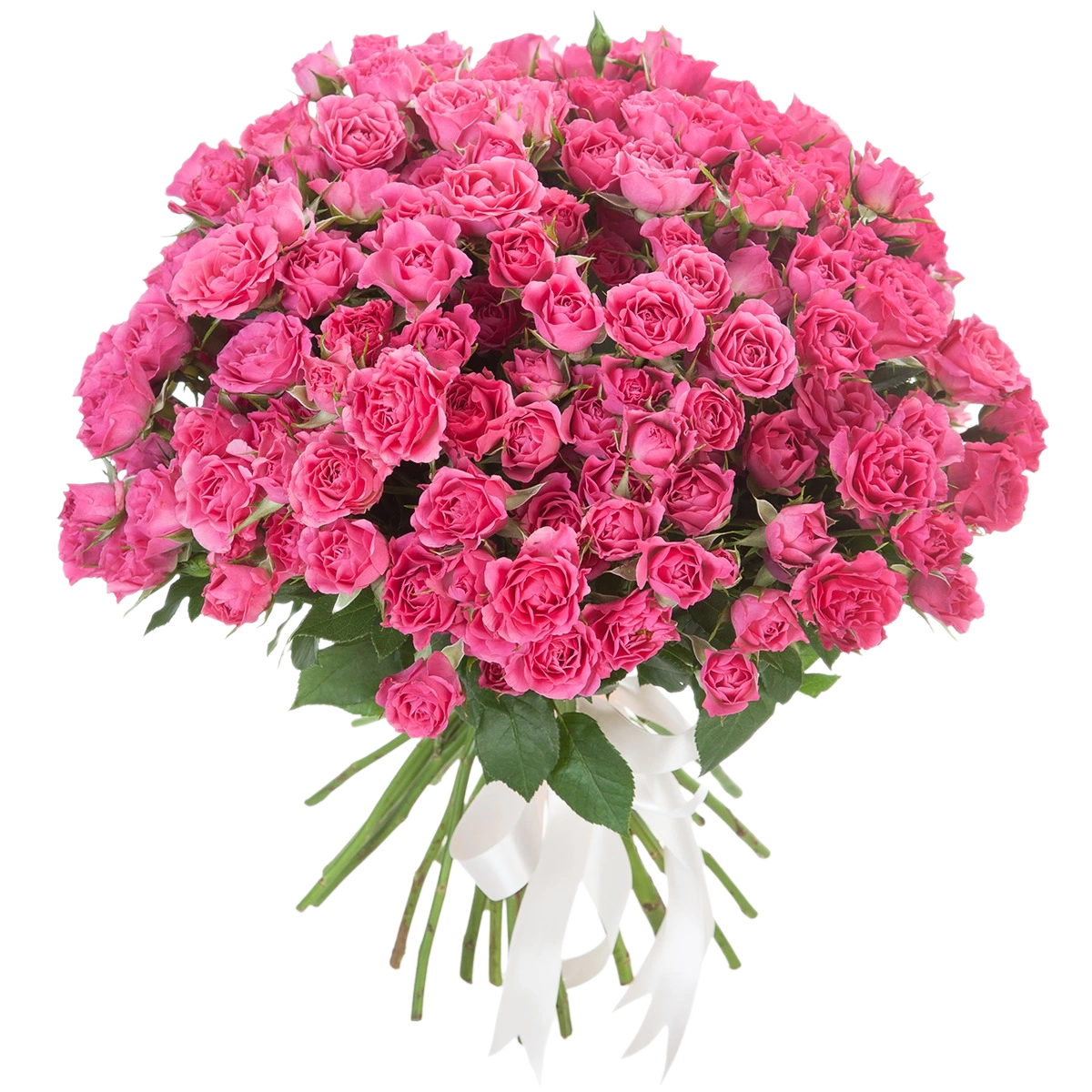 Кустовые розовые розы
