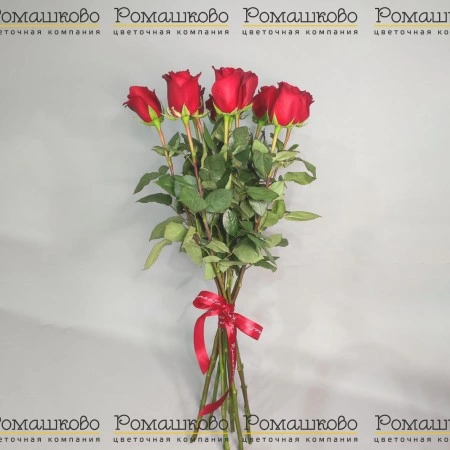 11 алых роз за 4 450 - «Ромашково» в Красноярске