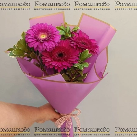Букет из гербер «Роман по переписке» за 1 650 - «Ромашково» в Красноярске