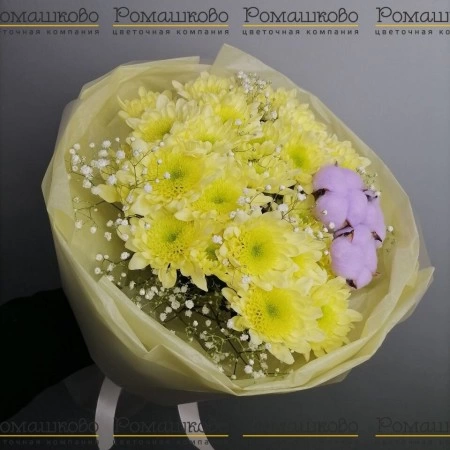 Букет из хризантемы «Рио» за 2 500 - «Ромашково» в Красноярске