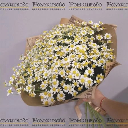 Букет из ромашек «Признание в любви» за 9 300 - «Ромашково» в Красноярске