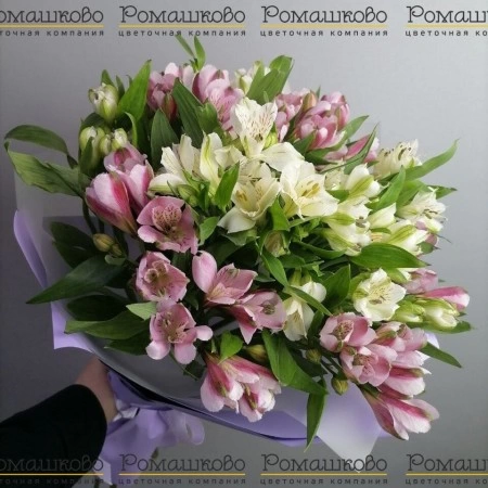 15 Альстромерий Эквадор за 4 550 - «Ромашково» в Красноярске