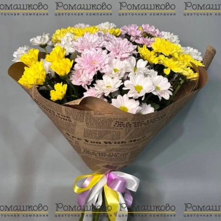 11 кустовых хризантем за 3 149 - «Ромашково» в Красноярске