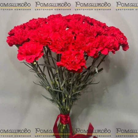 25 Красных гвоздик за 3 300 - «Ромашково» в Красноярске