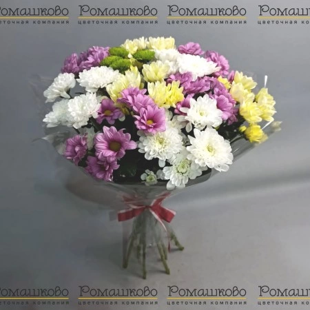 11 Хризантем кустовых за 2 799 - «Ромашково» в Красноярске