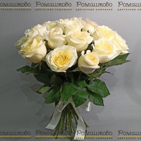 Букет из 25 кремовых роз (50см) за 6 999 - «Ромашково» в Красноярске