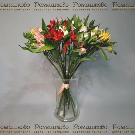 Альстромерия 11 шт (80см) за 2 799 - «Ромашково» в Красноярске