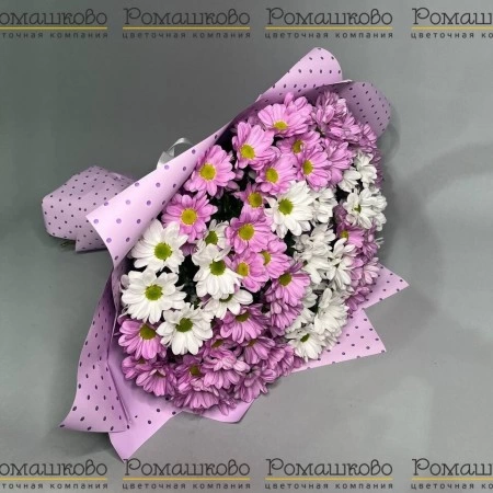 Букет из 15 бело-розовых кустовых хризантем за 4 180 - «Ромашково» в Красноярске
