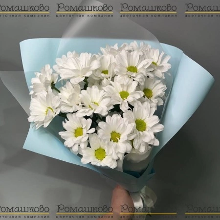 Букет из ромашек «Нежный сонет» за 1 200 - «Ромашково» в Красноярске