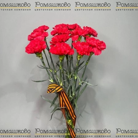 Букет из гвоздик «За Родину!» за 1 090 - «Ромашково» в Красноярске