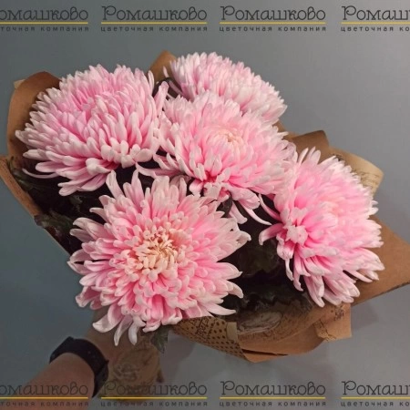 Букет из 5 красивых хризантем за 2 200 - «Ромашково» в Красноярске