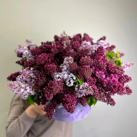 Букет из сирени 