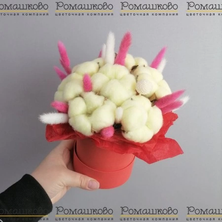Коробочка из сухоцветов «Сон в хлопке» за 2 300 - «Ромашково» в Красноярске