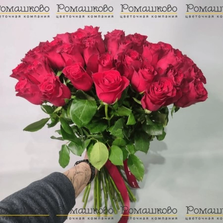 Букет из 51 красных роз Кения (50см) за 7 400 - «Ромашково» в Красноярске