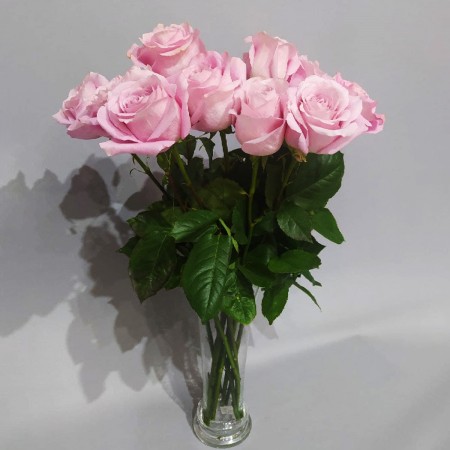 13 нежных роз за 2 490 - «Ромашково» в Красноярске