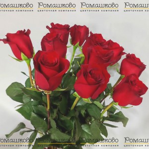 Превью 11 алых роз