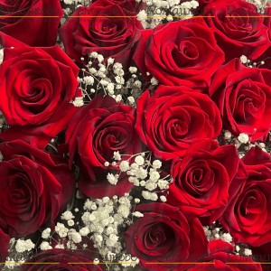 Превью Букет из розы «Красное и белое»