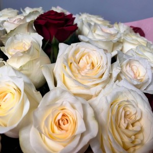 Превью Букет из розы «Единственная»