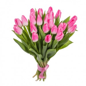 Превью Букет из 25 розовых тюльпанов