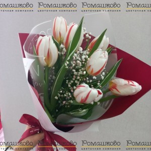 Превью Букет из тюльпанов «Скрипка»