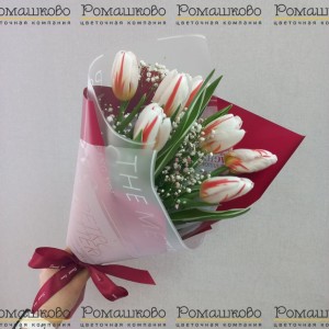 Превью Букет из тюльпанов «Скрипка»