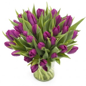 Превью Букет из 21 фиолетового тюльпана