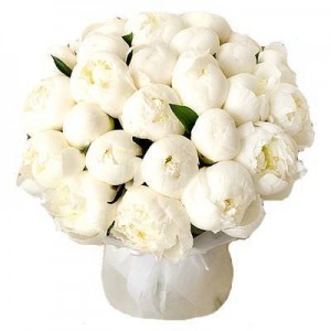 Превью Букет из пионов «Снежный шар»