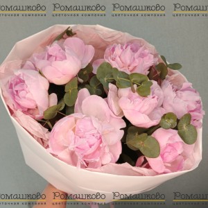 Превью Букет из пионов «Семь чувственных пионов»