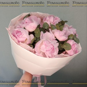 Превью Букет из пионов «Семь чувственных пионов»