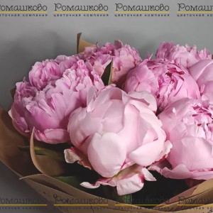 Превью Букет из 7 розовых пионов