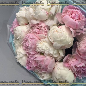 Превью Букет из пионов «Чувственность»