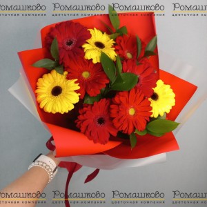 Превью Букет из гербер «Улыбка радуги»