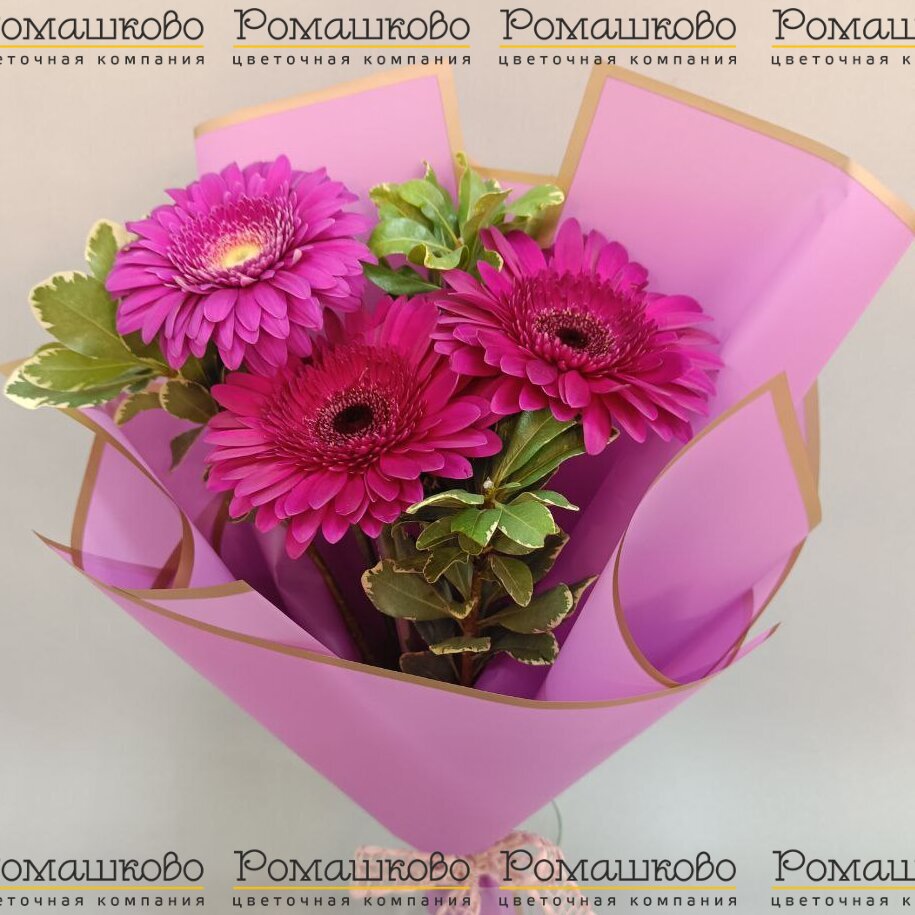 Букет из гербер «Роман по переписке»