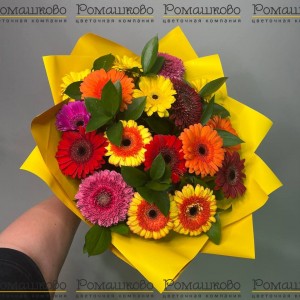 Превью Букет из гербер «Сезон любви»