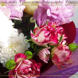 Превью Букет из хризантем «Любовь и дружба»