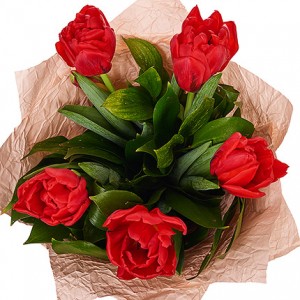 Превью Букет из красных тюльпанов