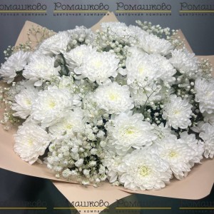 Превью Букет из хризантемы «Искренность»