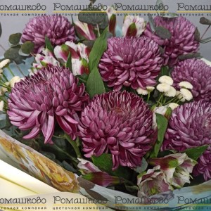 Превью Букет из хризантемы «Верона»