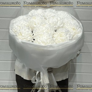 Превью Букет из хризантемы «Верона»