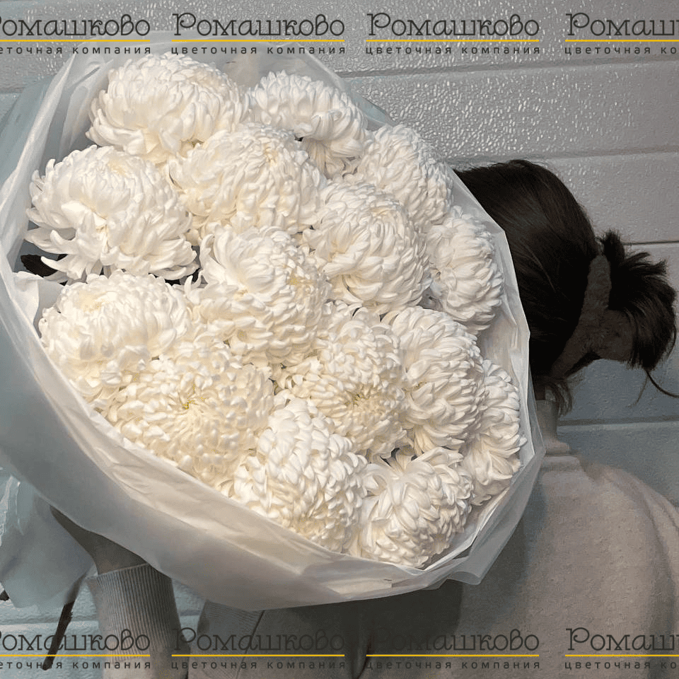 Букет из хризантемы «Верона»