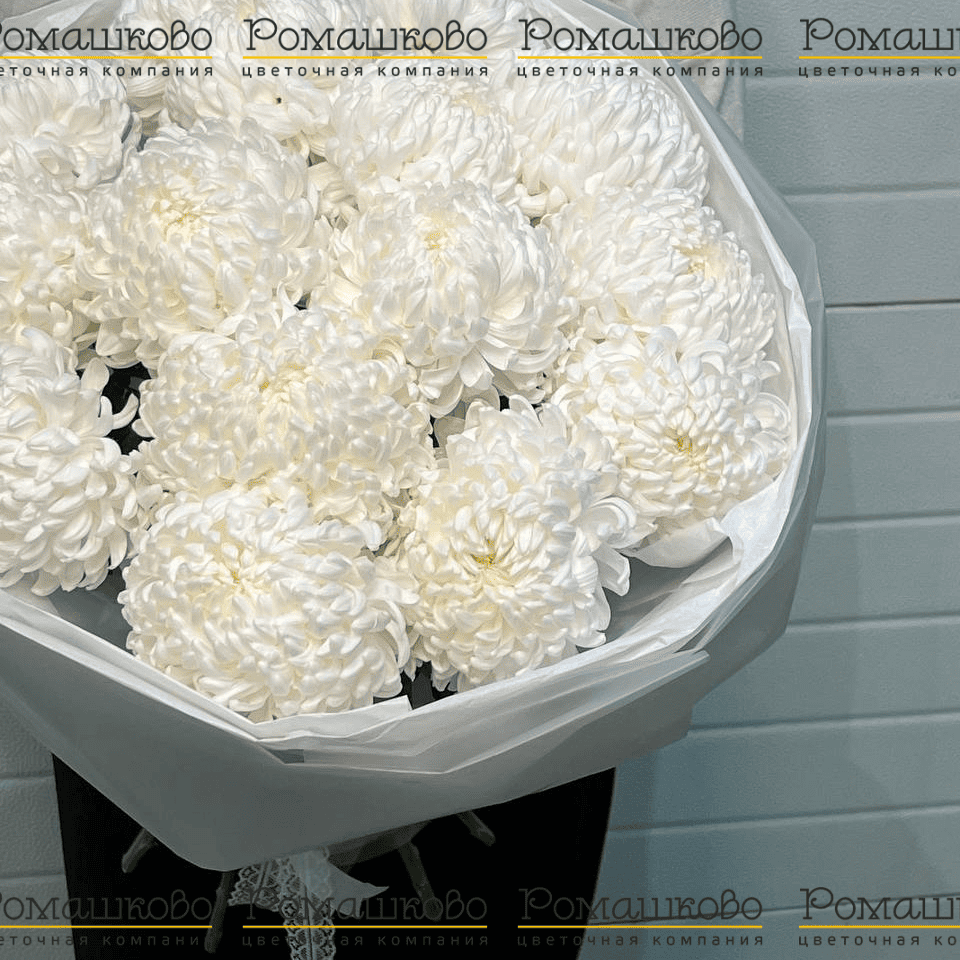 Букет из хризантемы «Верона»
